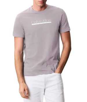 Calvin Klein Camiseta de manga corta Graphic Outline gris,azul,blanco